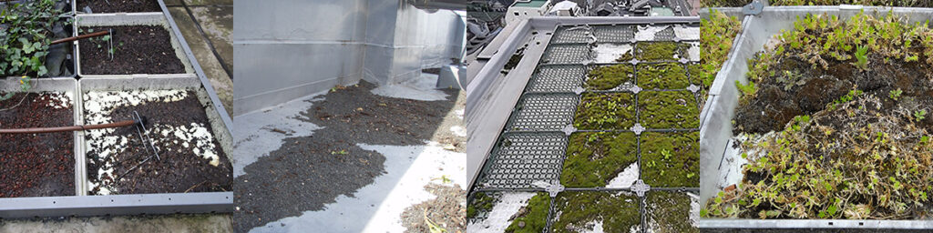 屋上緑化システム失敗の原因：屋上緑化で土が流出するケースが増えています。