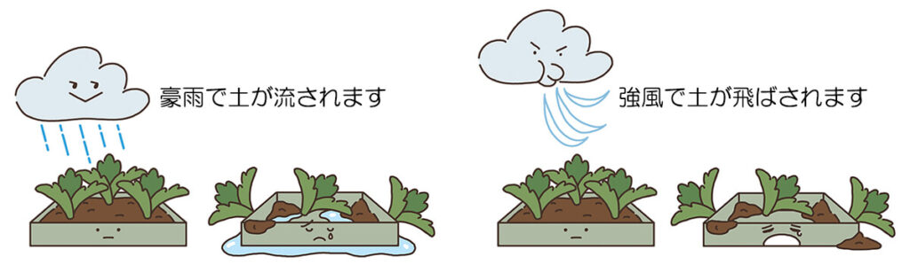 既存の屋上緑化システムでは豪雨で土が流されます。既存の屋上緑化システムでは強風で土が飛ばされます。