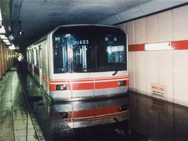 常緑キリンソウの特徴　都市型水害の防止に貢献　都市型水害の様子　地下鉄が水につかる