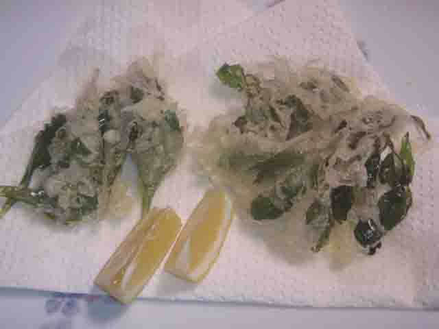 常緑キリンソウの特徴　薬草、保存食として利用　常緑キリンソウの天ぷらの写真
