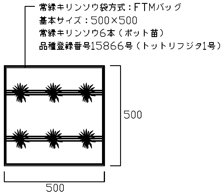 常緑キリンソウ袋方式表jyん図