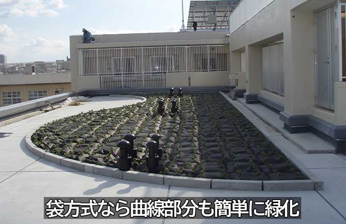 袋方式の緑化ユニットを用いて、曲線を描く屋上形状に沿って設置された屋上緑化の施工例。