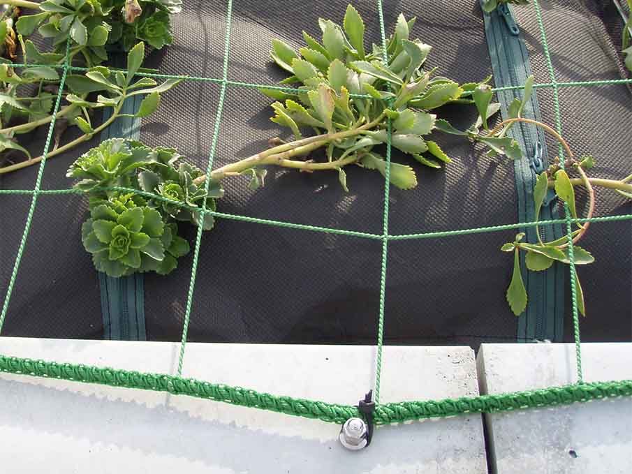 袋方式屋上緑化における強風オプションとして、オールインアンカーと樹脂ネットを結束している部分
