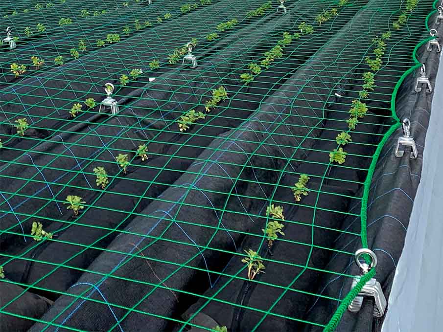 強風時オプションとして、アイナットと樹脂ネットを結束している部分
