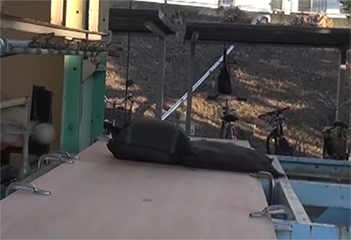 強風時に袋方式の屋上緑化基盤が変形し、風圧を逃がしている様子