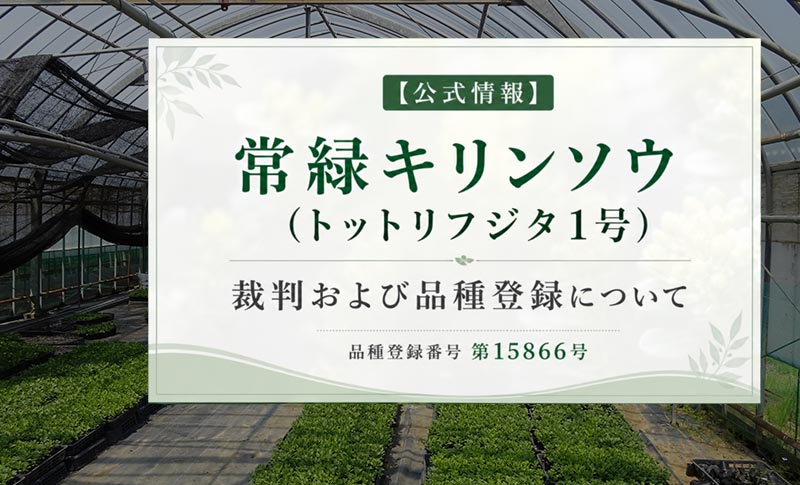 常緑キリンソウ（トットリフジタ1号）の裁判および品種登録に関する公式情報